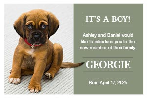 pet adoption announcement